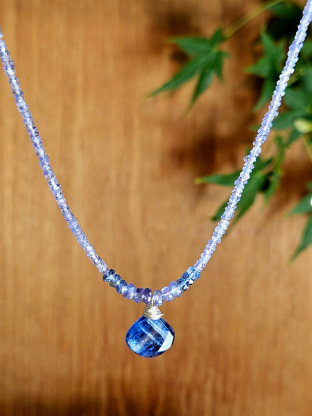 Kyanite & Tanzanite Necklace  NBL5025