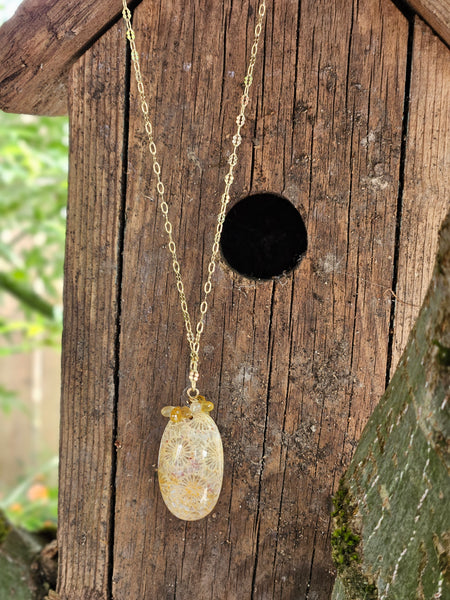 One of a Kind GF) Fossil Coral & Sapphire Necklace