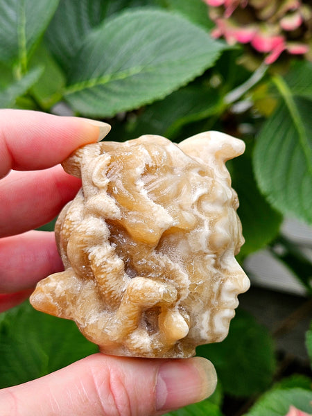 Chocolate Calcite Medusa