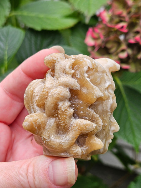 Chocolate Calcite Medusa