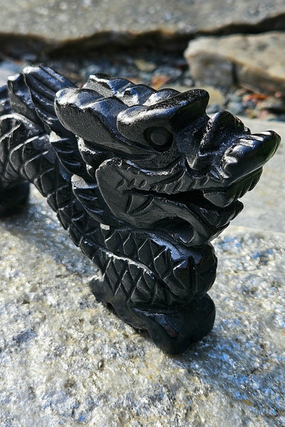 Black Obsidian Dragon