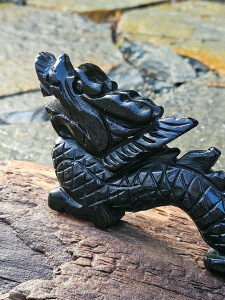 Black Obsidian Dragon