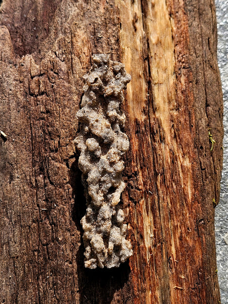 Fulgurite  (Petrified Lightening)
