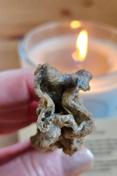 Fulgurite  (Petrified Lightening)
