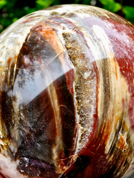 Petrified Wood Sphere