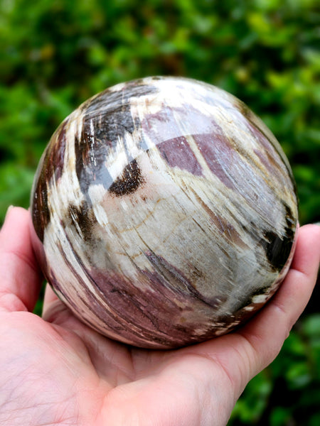 Petrified Wood Sphere