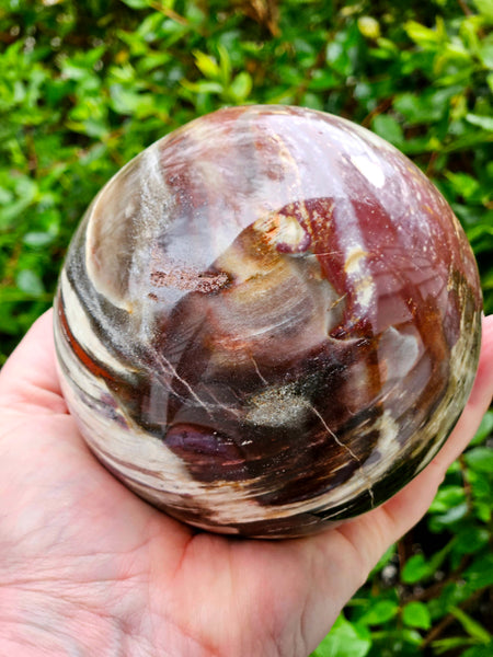 Petrified Wood Sphere