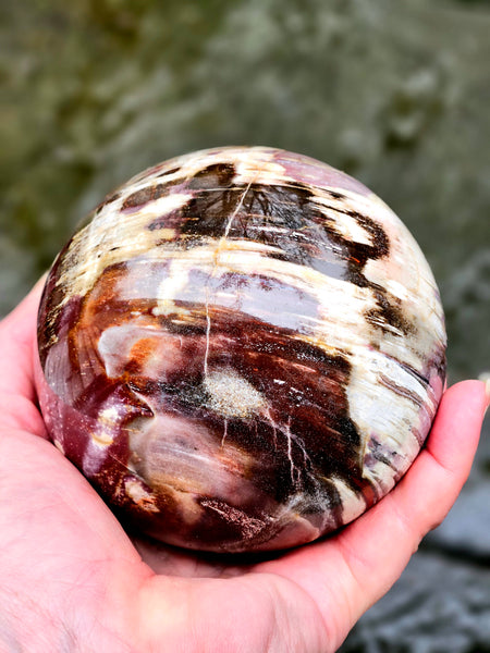 Petrified Wood Sphere