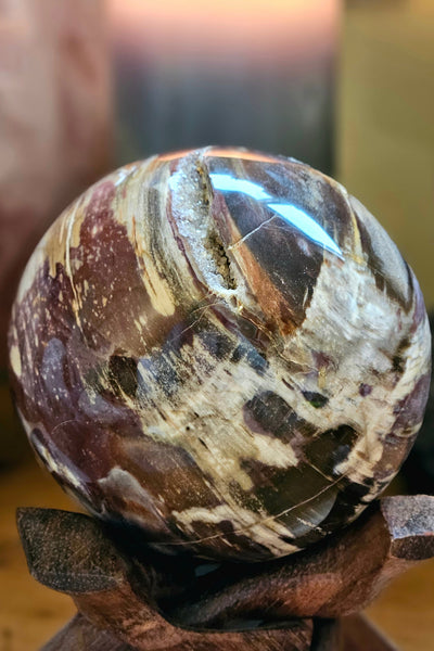 Petrified Wood Sphere
