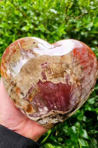Petrified Wood Heart