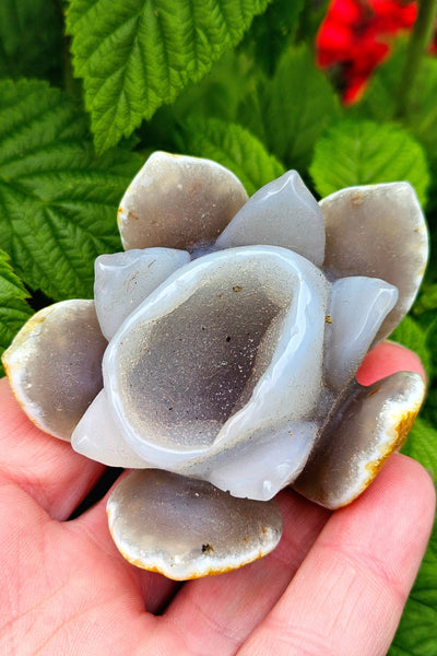 Druzy Agate Lotus Flower