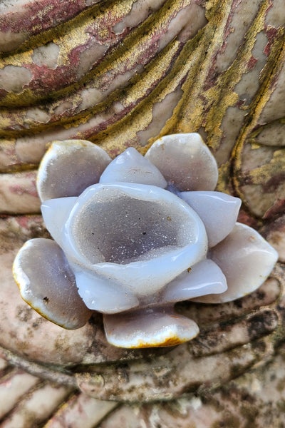 Druzy Agate Lotus Flower
