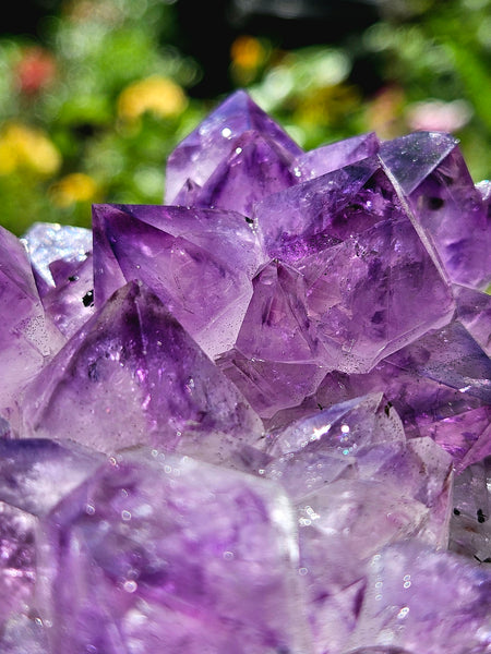 Brazilian Amethyst Cluster