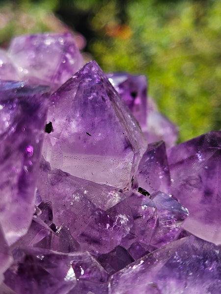 Brazilian Amethyst Cluster