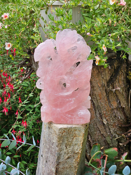 Rose Quartz Dragon