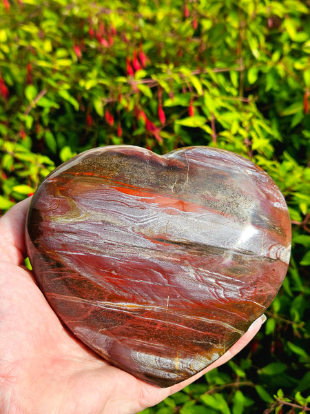 Petrified Wood Heart