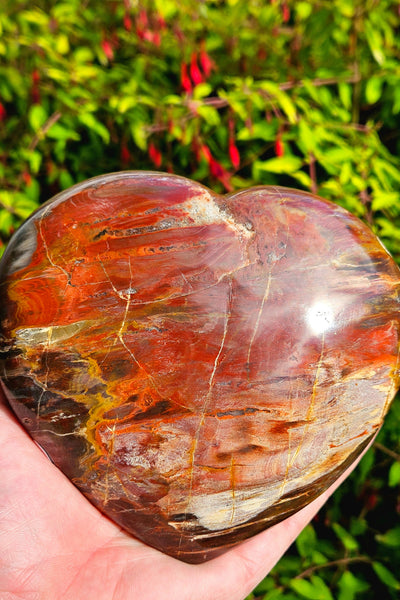 Petrified Wood Heart