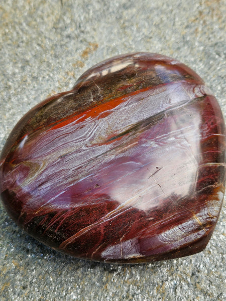 Petrified Wood Heart