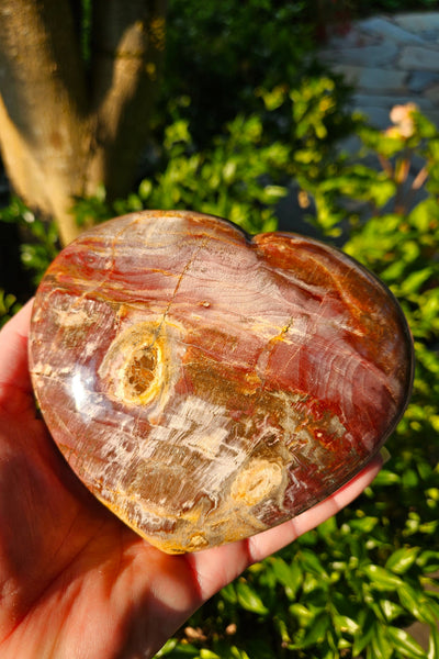 Petrified Wood Heart