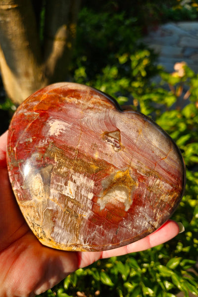 Petrified Wood Heart