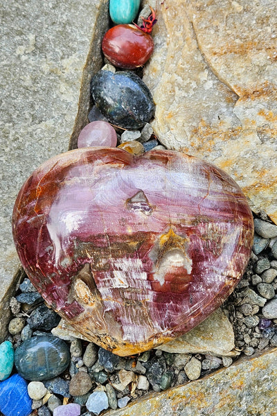 Petrified Wood Heart