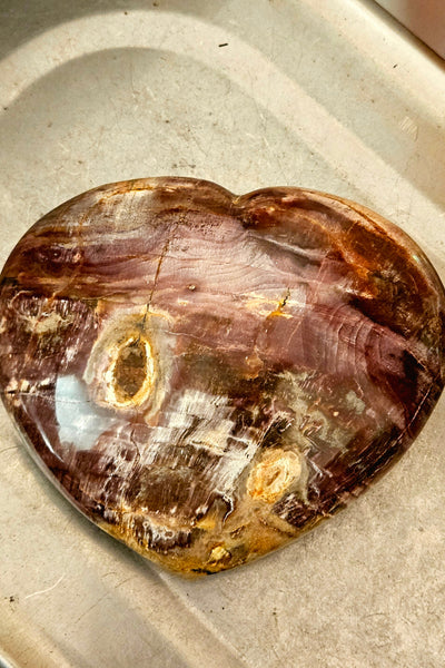 Petrified Wood Heart