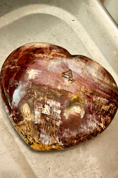 Petrified Wood Heart