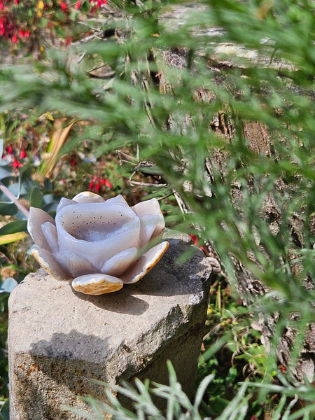 Druzy Agate Lotus