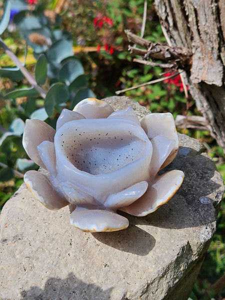 Druzy Agate Lotus