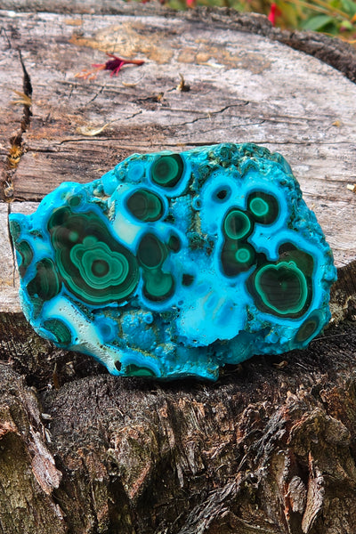 Chrysocolla & Malachite Free Form - One of a Kind