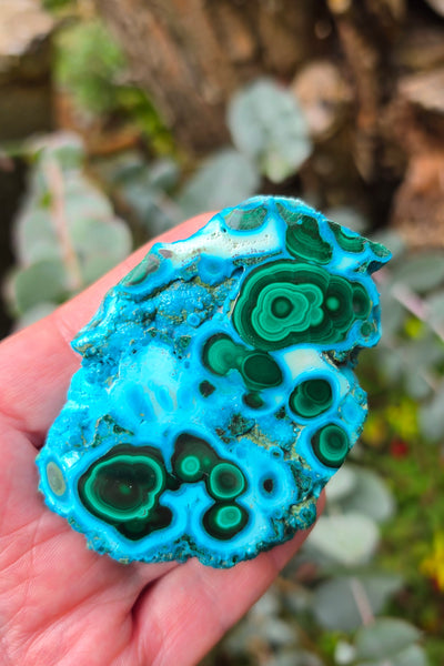 Chrysocolla & Malachite Free Form - One of a Kind