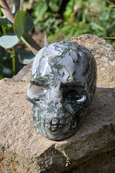 Moss Agate Skull - One of a Kind