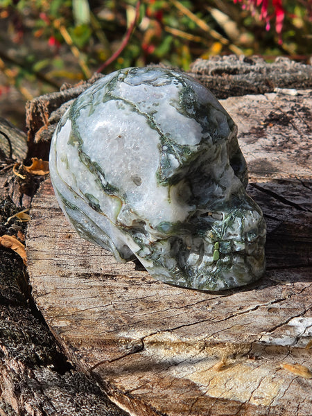 Moss Agate Skull - One of a Kind