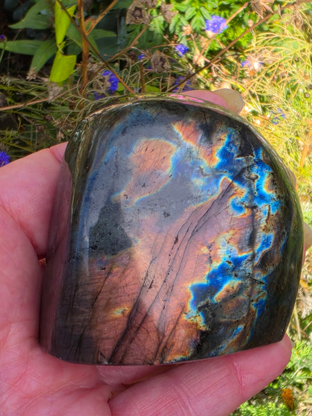 Labradorite Free Form - One of a Kind