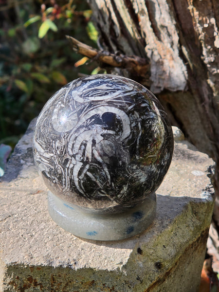 Orthoceras Fossil Sphere — One of a Kind