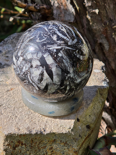 Orthoceras Fossil Sphere — One of a Kind