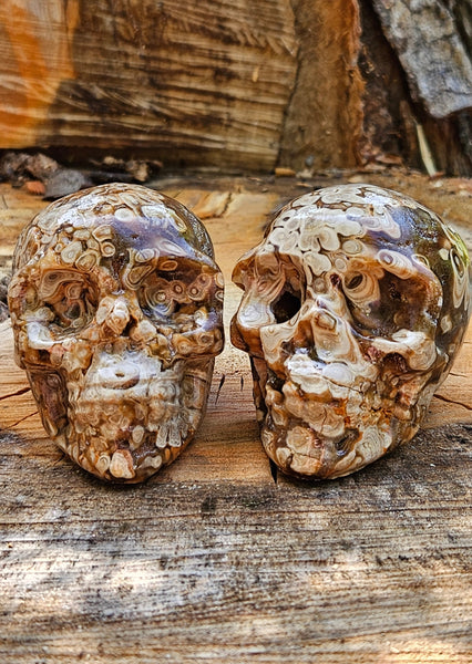 Chocolate Calcite Skulls
