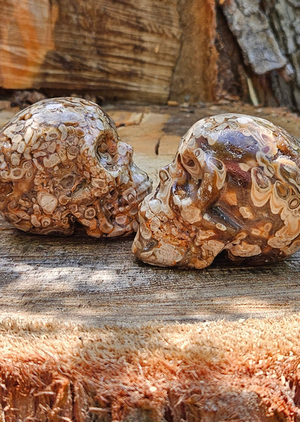 Chocolate Calcite Skulls