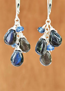 Black Labradorite & Kyanite Earrings EBK1123