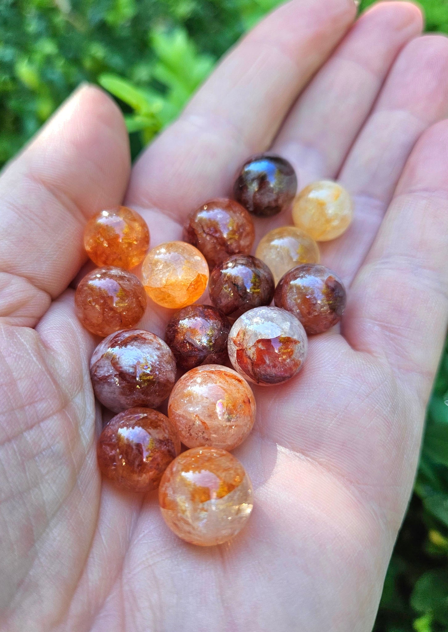 Golden & Red Healer Mini Spheres Bundle