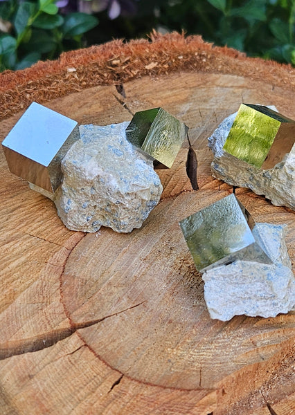 Pyrite Cubes in Matrix
