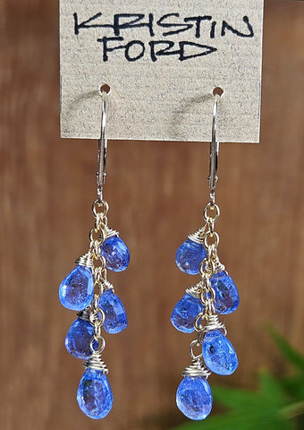 Tanzanite Earrings EBL4215G