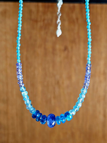 Apatite & Tanzanite Earrings  EBL5324