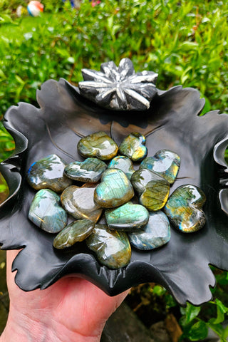 Chrysanthemum Stone Bowl