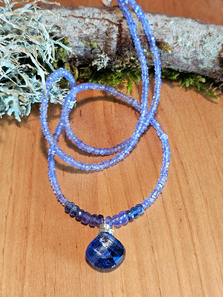 Kyanite & Tanzanite Necklace  NBL5025