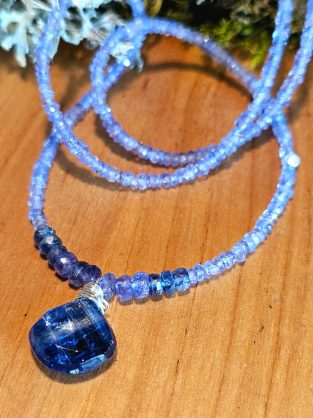 Kyanite & Tanzanite Necklace  NBL5025