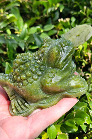 Jade Money Frog / Toad