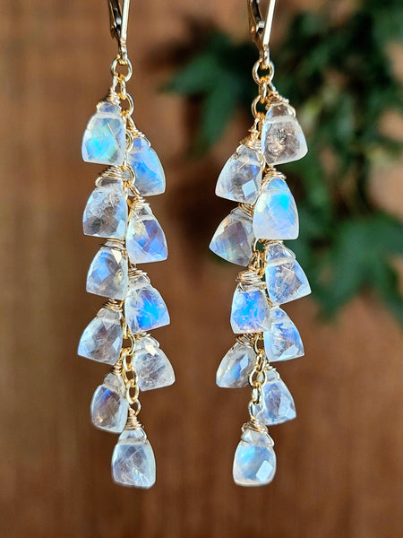 One of a Kind GF) Rainbow Moonstone Earrings