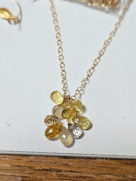 One of a Kind GF) Fossil Coral & Sapphire Necklace