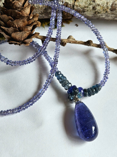 One of a Kind Tanzanite & Indigo Kyanite Necklace